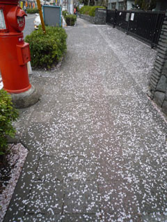 f:id:selmel:20100411225827j:image