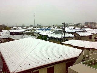 f:id:selmel:20100417083035j:image