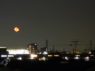 f:id:selmel:20100501221909j:image