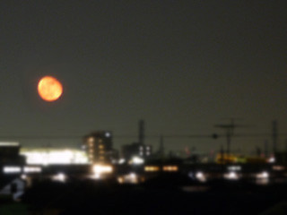 f:id:selmel:20100502000407j:image