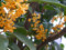 20101005211111
