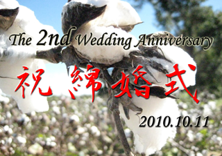 f:id:selmel:20101011165826p:image