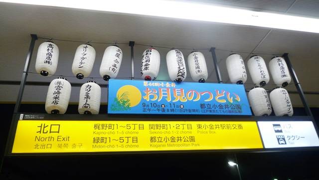 f:id:selmel:20110904202549j:image:w240