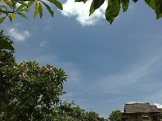 f:id:selmel:20111118140518j:image:w320 f:id:selmel:20111118140518j:image:w320