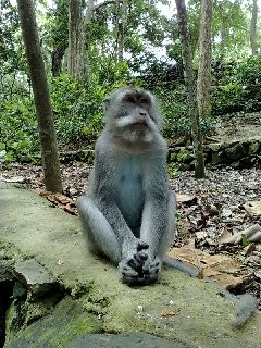 f:id:selmel:20111119153340j:image:w300