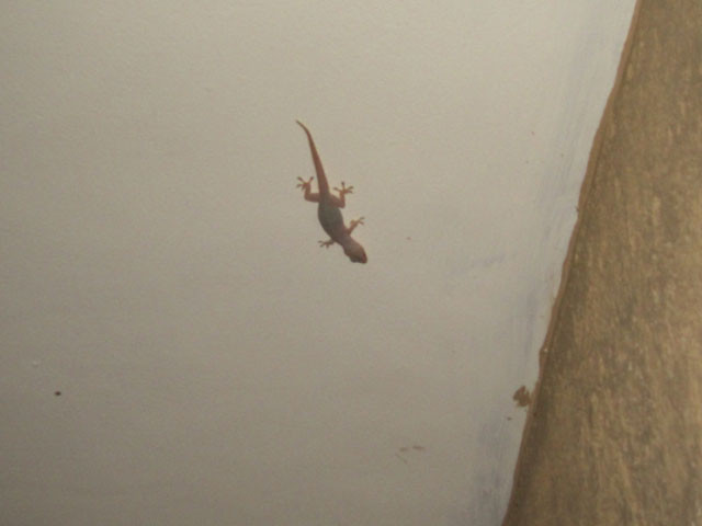 f:id:selmel:20111127192647j:image:w300