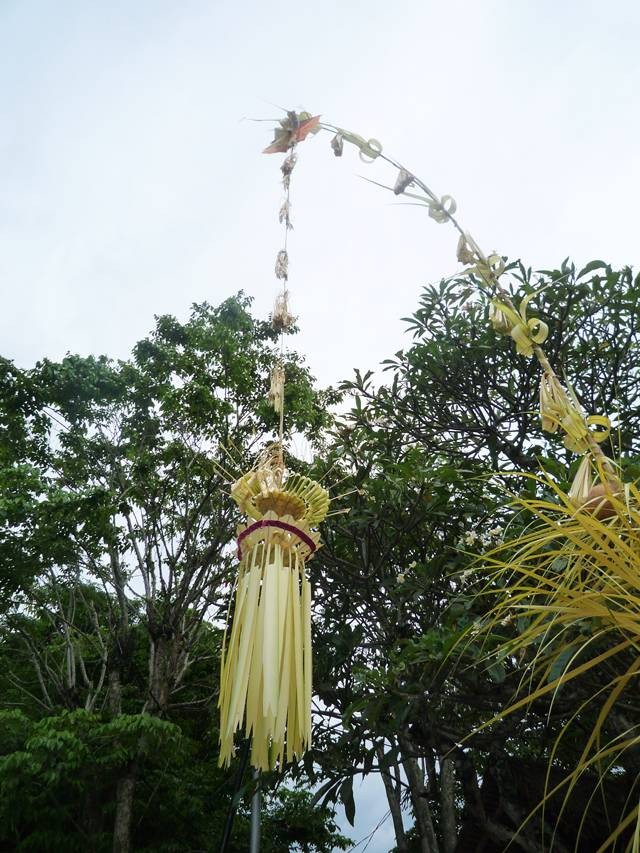f:id:selmel:20111127203043j:image:w180