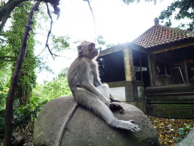 20111205130136
