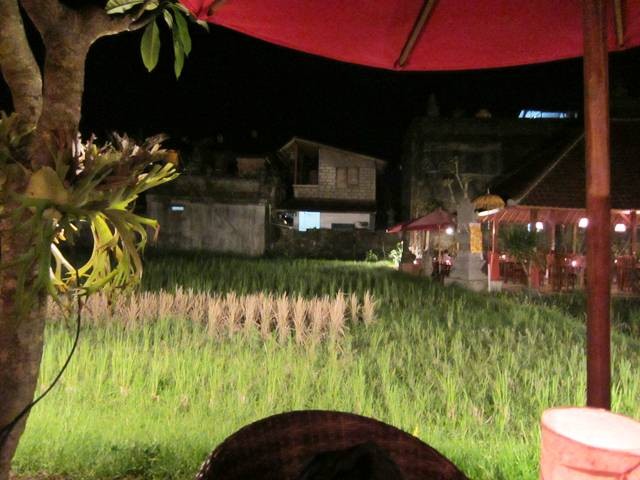 f:id:selmel:20111209002039j:image:w300