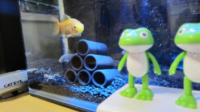 f:id:selmel:20111227221108j:image:w300