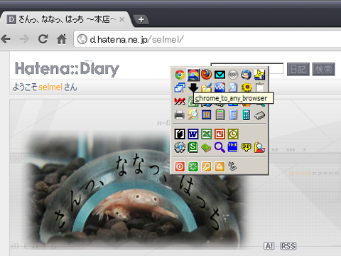 f:id:selmel:20120202144043p:image:w240 f:id:selmel:20120202144043p:image:w240