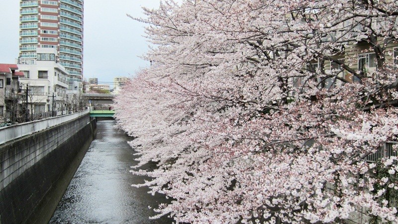 f:id:selmel:20120407204614j:image:w360