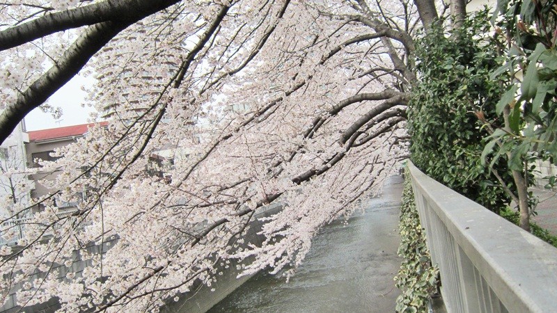 f:id:selmel:20120407204616j:image:w360