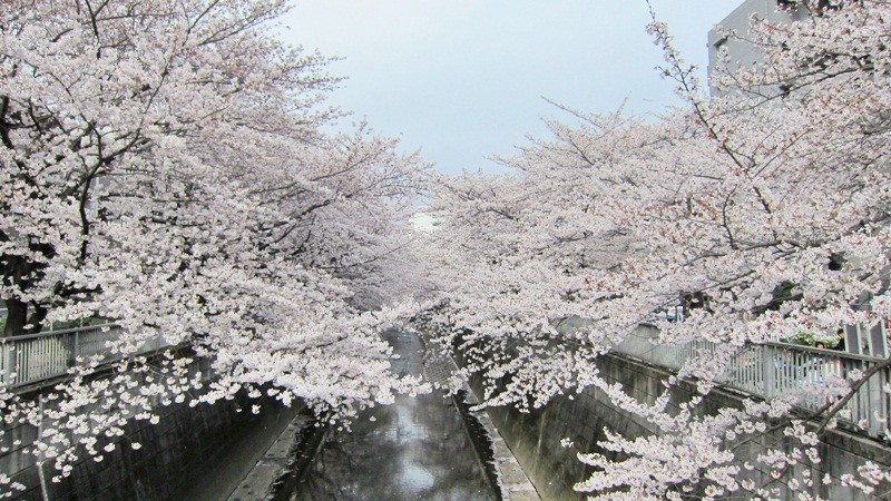 f:id:selmel:20120407204617j:image:w360