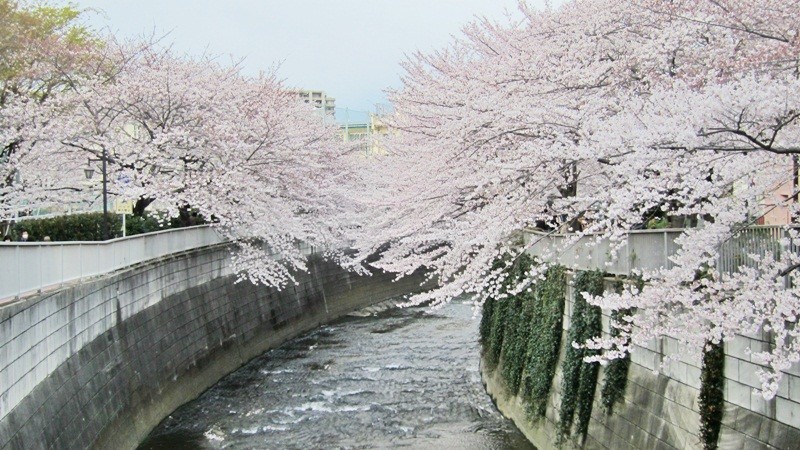 f:id:selmel:20120407204618j:image:w360