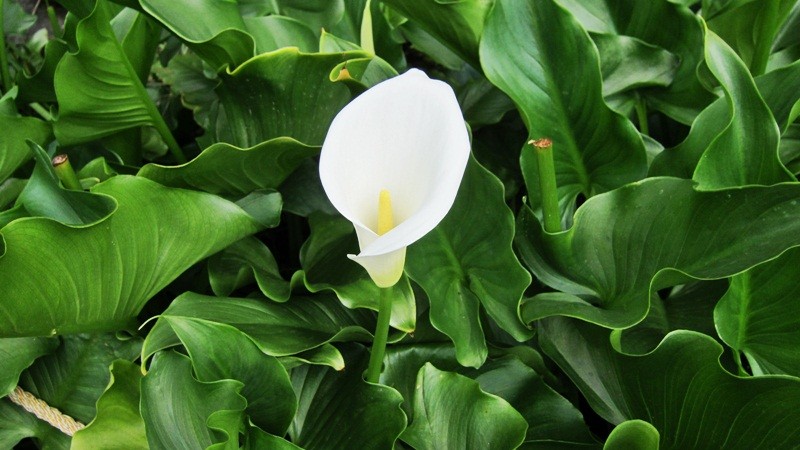 f:id:selmel:20120603205038j:image:w360 f:id:selmel:20120603205038j:image:w360