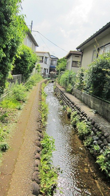 f:id:selmel:20120603205040j:image:h204
