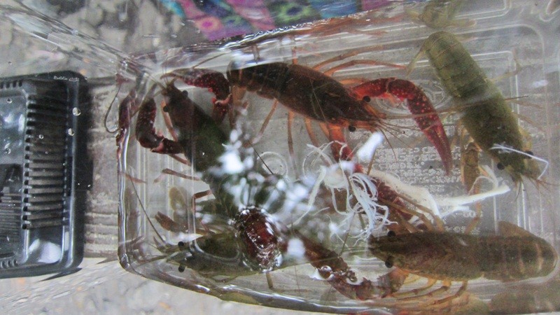 f:id:selmel:20120603205722j:image:w360 f:id:selmel:20120603205722j:image:w360
