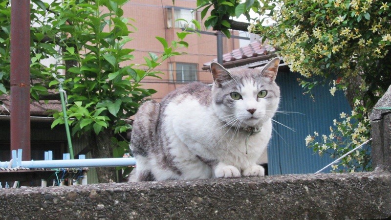 f:id:selmel:20120603210321j:image:w360 f:id:selmel:20120603210321j:image:w360