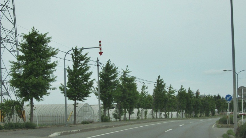 f:id:selmel:20120618231949j:image:w360