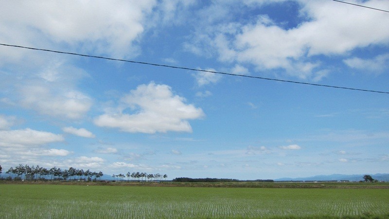 f:id:selmel:20120618232101j:image:w360