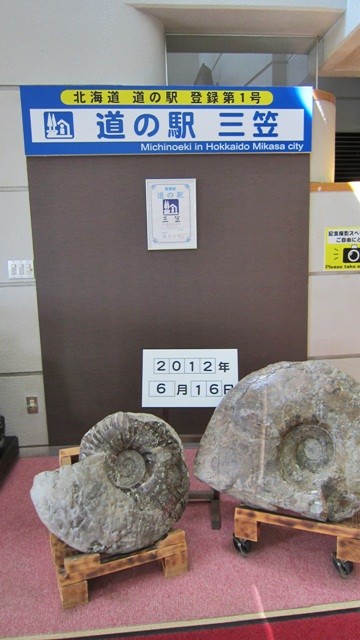 f:id:selmel:20120618232152j:image:w240