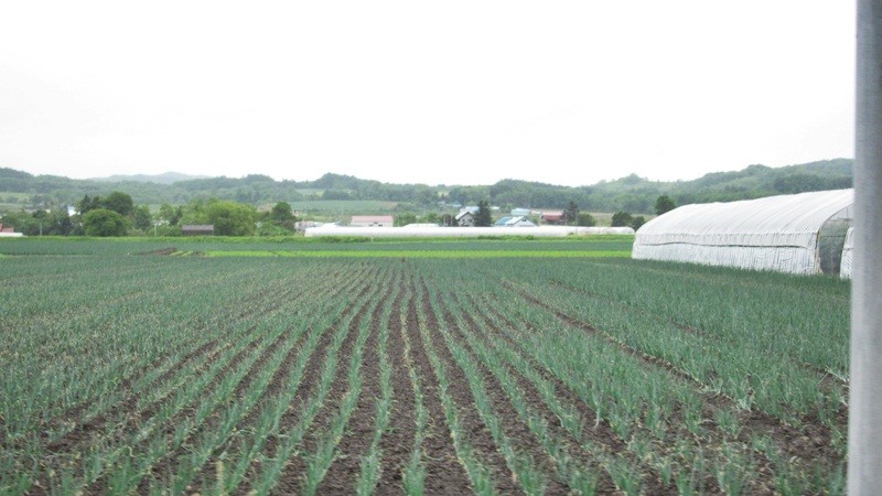 f:id:selmel:20120618232703j:image:w360