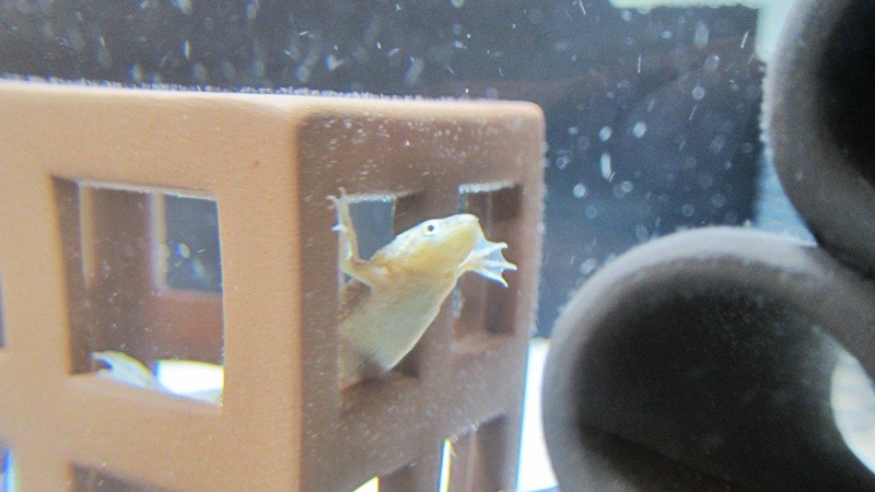 f:id:selmel:20120701215129j:image:w360