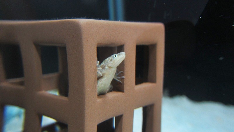 f:id:selmel:20120707172642j:image:w360