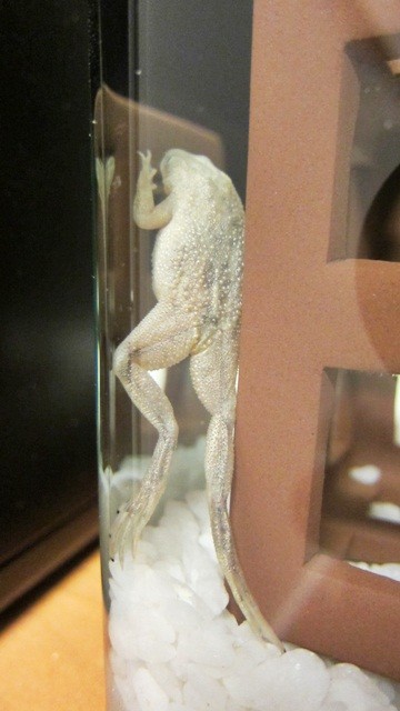 f:id:selmel:20120716223055j:image:h360