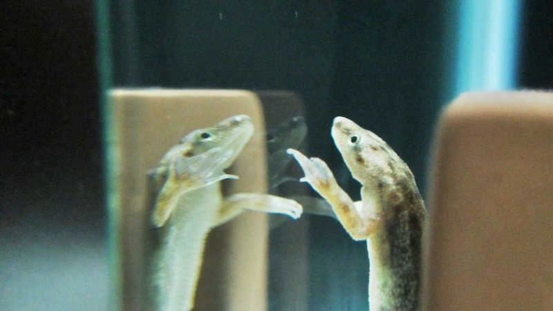 f:id:selmel:20120716223056j:image:w360