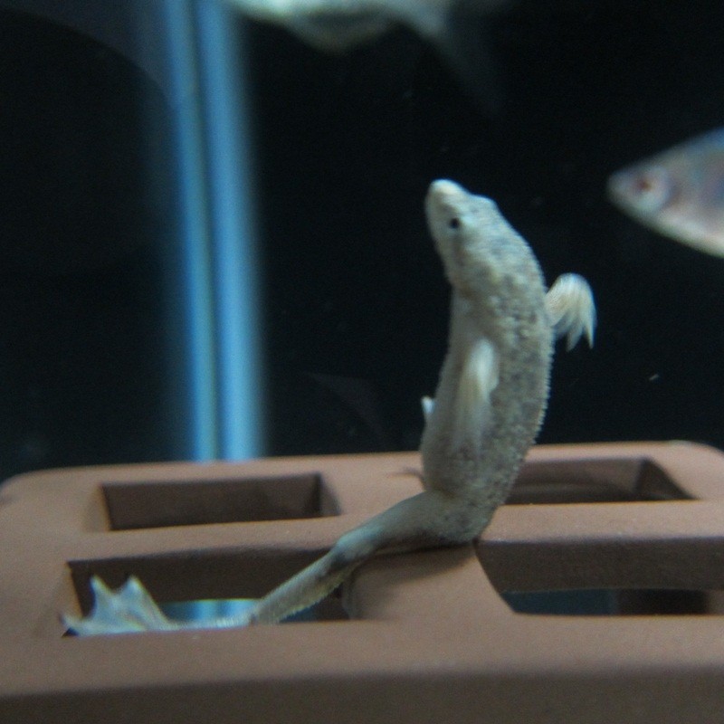 f:id:selmel:20120728003128j:image:w360