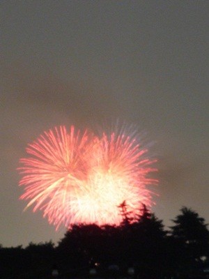 f:id:selmel:20120728204205j:image:w280