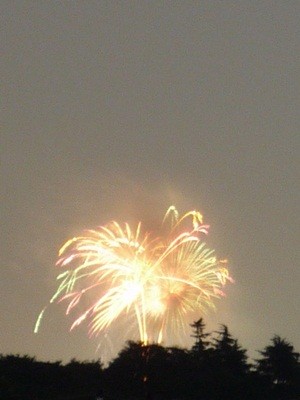 f:id:selmel:20120728204206j:image:w280