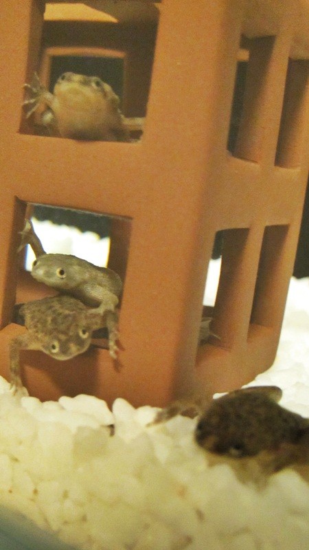 f:id:selmel:20120815213913j:image:w240