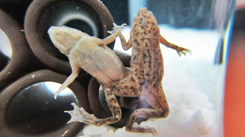 f:id:selmel:20120826224118j:image:w360