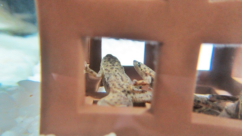 f:id:selmel:20120826224119j:image:w360