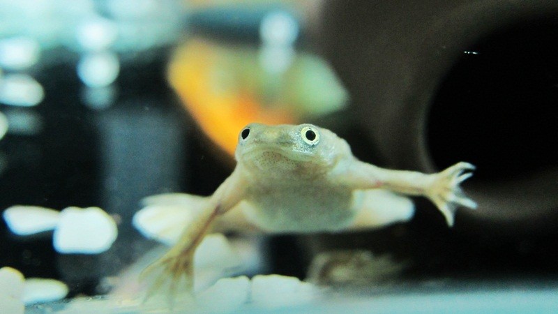 f:id:selmel:20120917182640j:image:w360