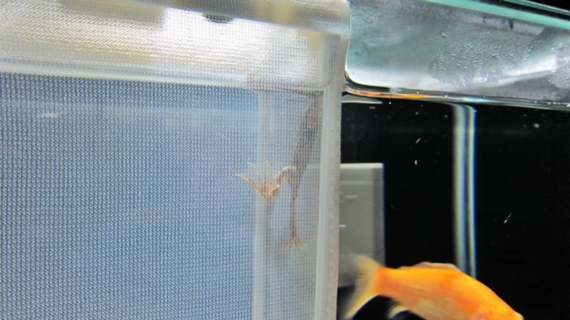 f:id:selmel:20120925214536j:image:w360