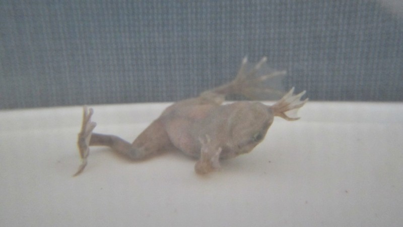 f:id:selmel:20120925215616j:image:w360