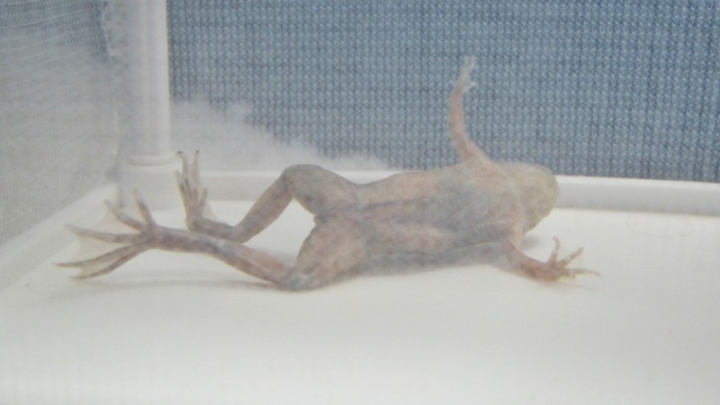 f:id:selmel:20120925215618j:image:w360
