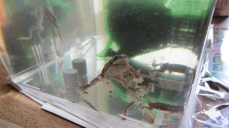 f:id:selmel:20120927230939j:image:w360 f:id:selmel:20120927230939j:image:w360