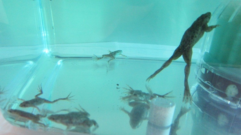 f:id:selmel:20120927231201j:image:w360 f:id:selmel:20120927231201j:image:w360