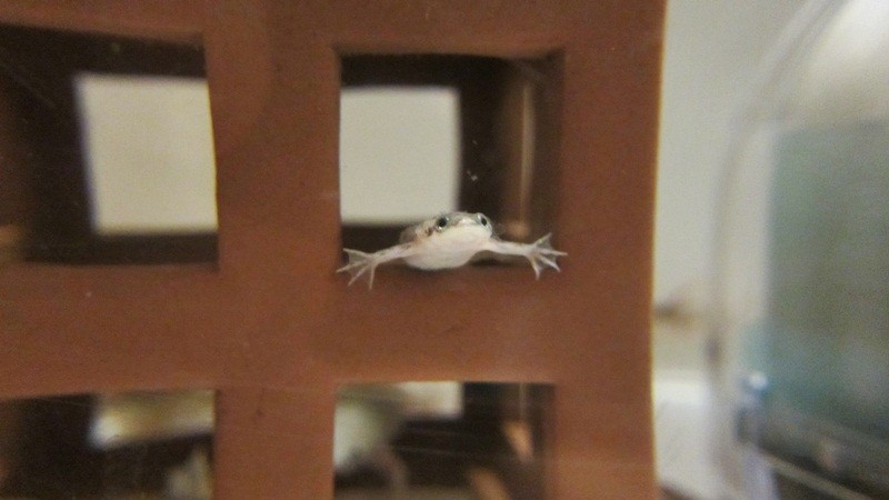 f:id:selmel:20120927232731j:image:w360 f:id:selmel:20120927232731j:image:w360