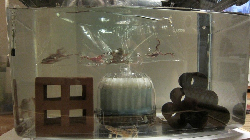 f:id:selmel:20120927232732j:image:w360 f:id:selmel:20120927232732j:image:w360