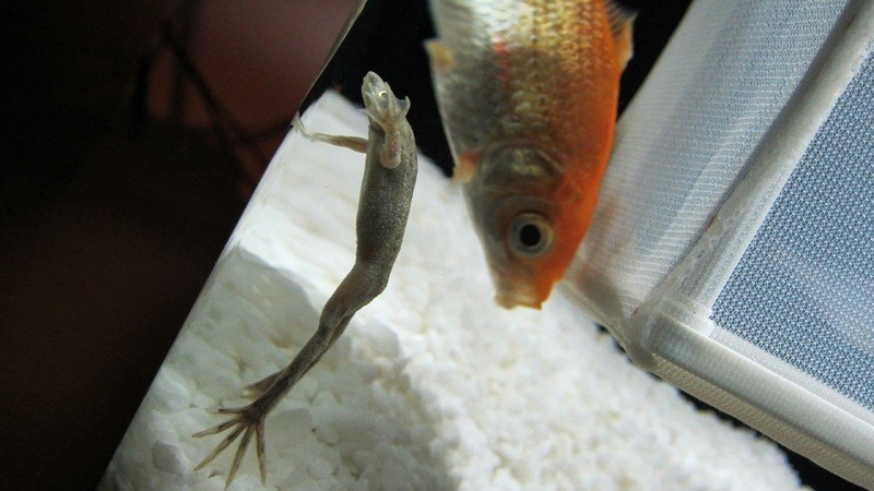 f:id:selmel:20121003000209j:image:w360