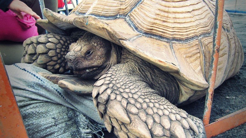 f:id:selmel:20121008001438j:image:w360 f:id:selmel:20121008001438j:image:w360