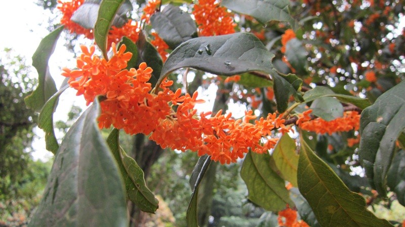 f:id:selmel:20121018190828j:image:w360