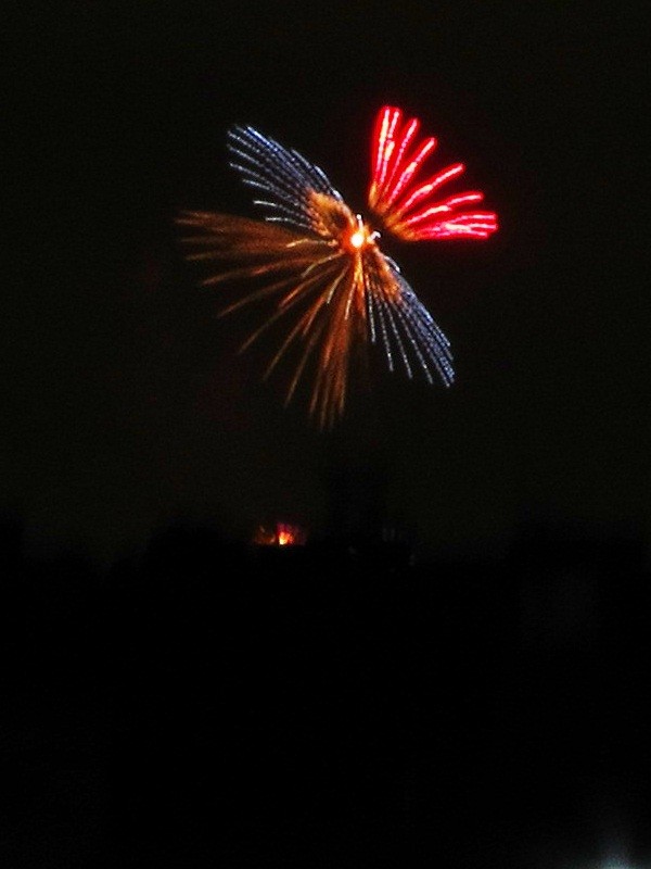 f:id:selmel:20121020201044j:image:w240