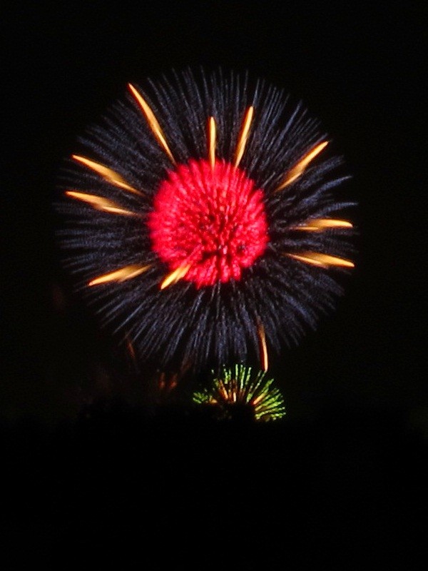 f:id:selmel:20121020201045j:image:w240